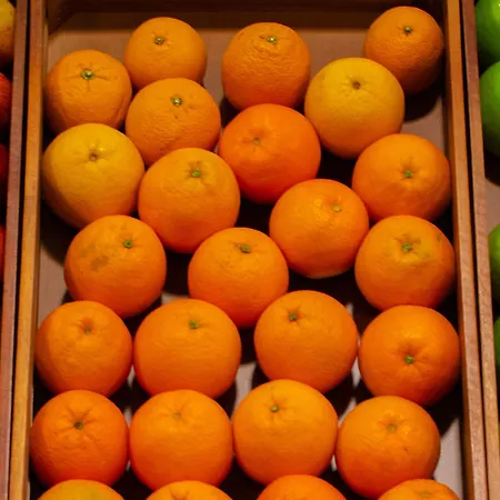 Szálloda Vip Executive Saldanha Lisboa